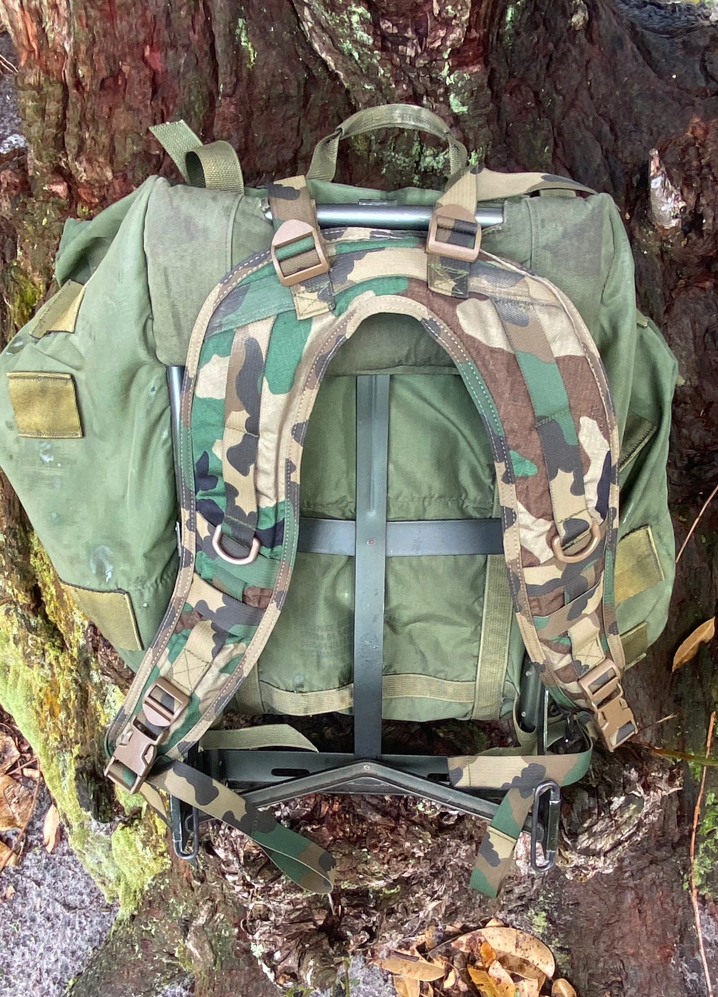 ALICE Pack Shoulder Harness - Free Shipping